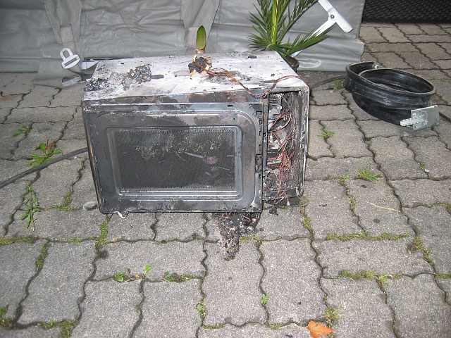bild (9)